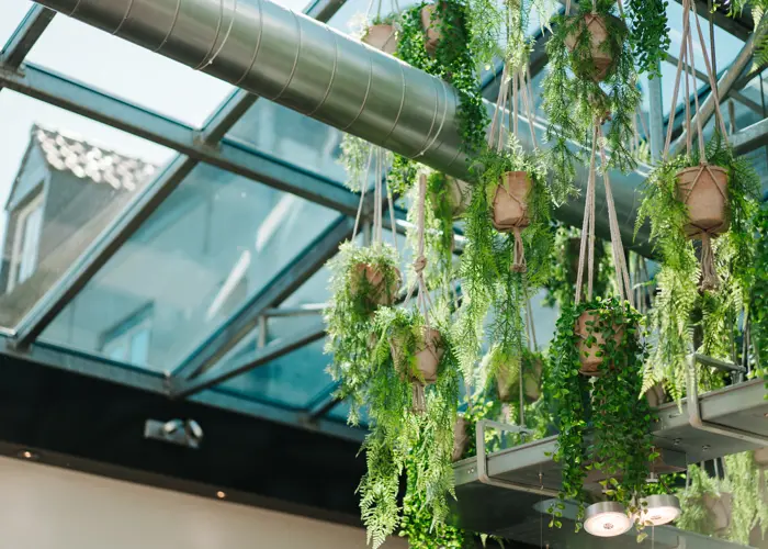 Nieuwe arboplannen. Wat betekent dit voor jouw horecazaak?