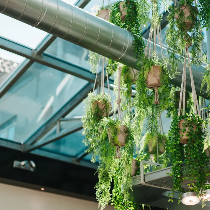 Nieuwe arboplannen. Wat betekent dit voor jouw horecazaak?