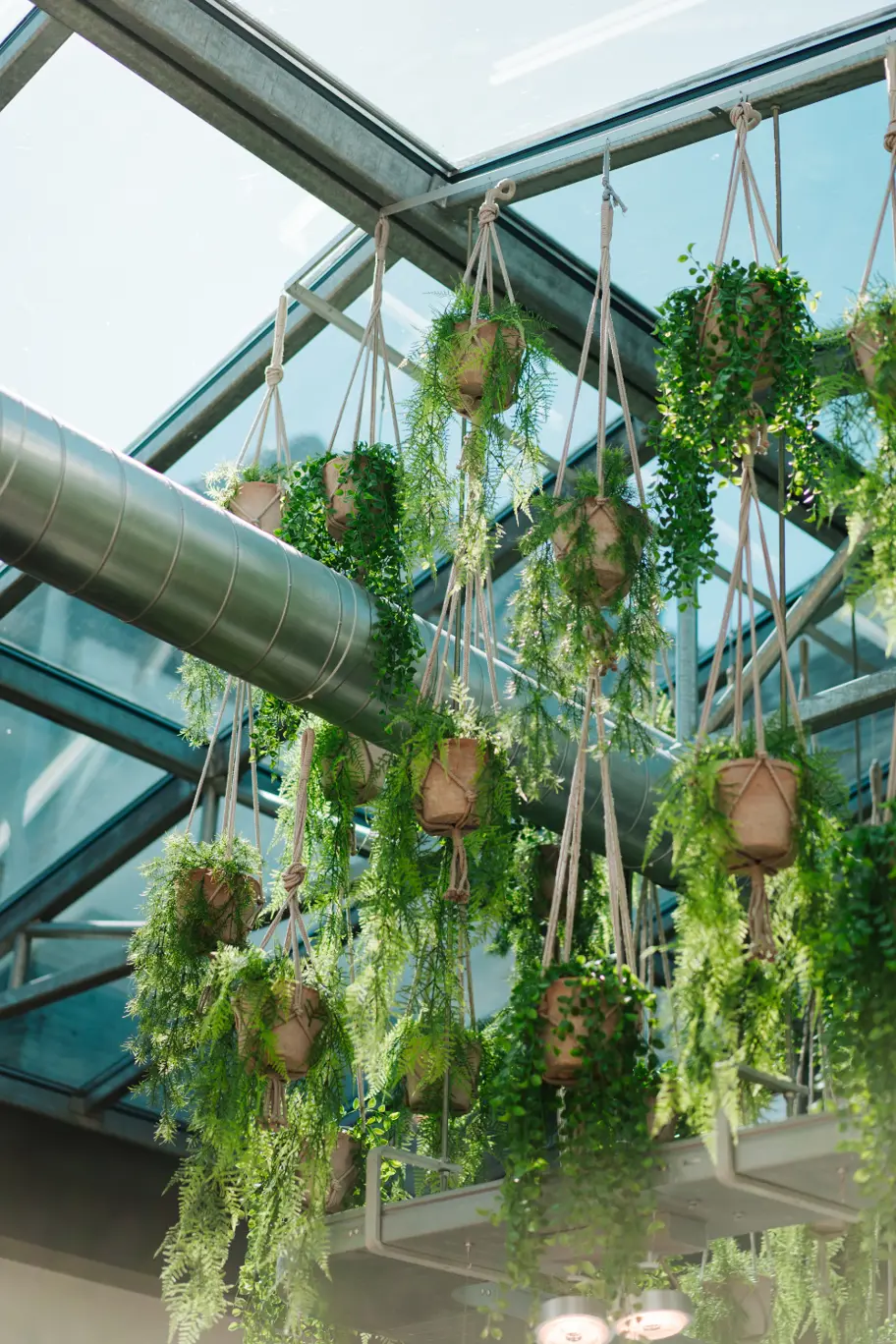 Planten in horecazaak voor uurloon horeca pagina