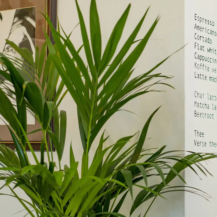 Template Landingspagina's (92)